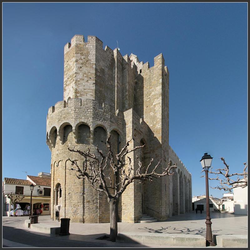 Вилла Camargue Beauvoisin  Экстерьер фото