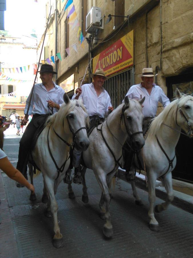 Вилла Camargue Beauvoisin  Экстерьер фото